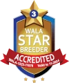 WALA Star logo